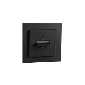 Bryter innfelt 2-pol Sort med lys